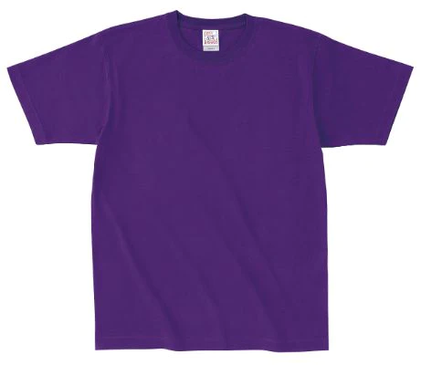 ソリッドTシャツ