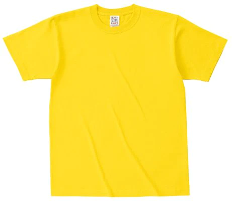 ソリッドTシャツ