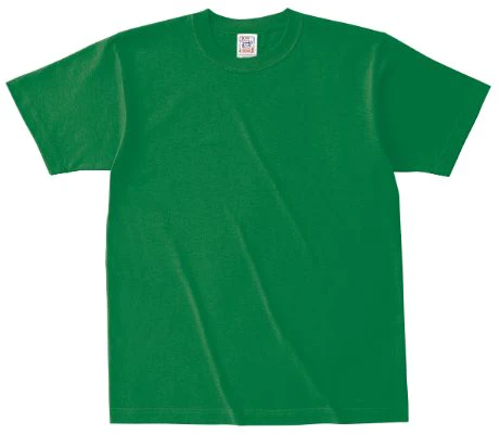 ソリッドTシャツ