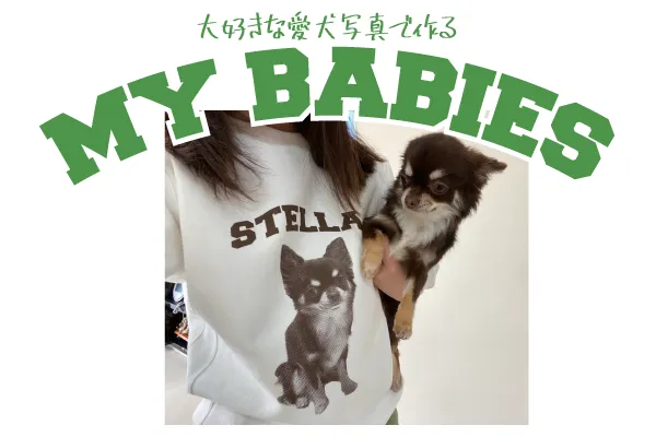 愛犬グッズ